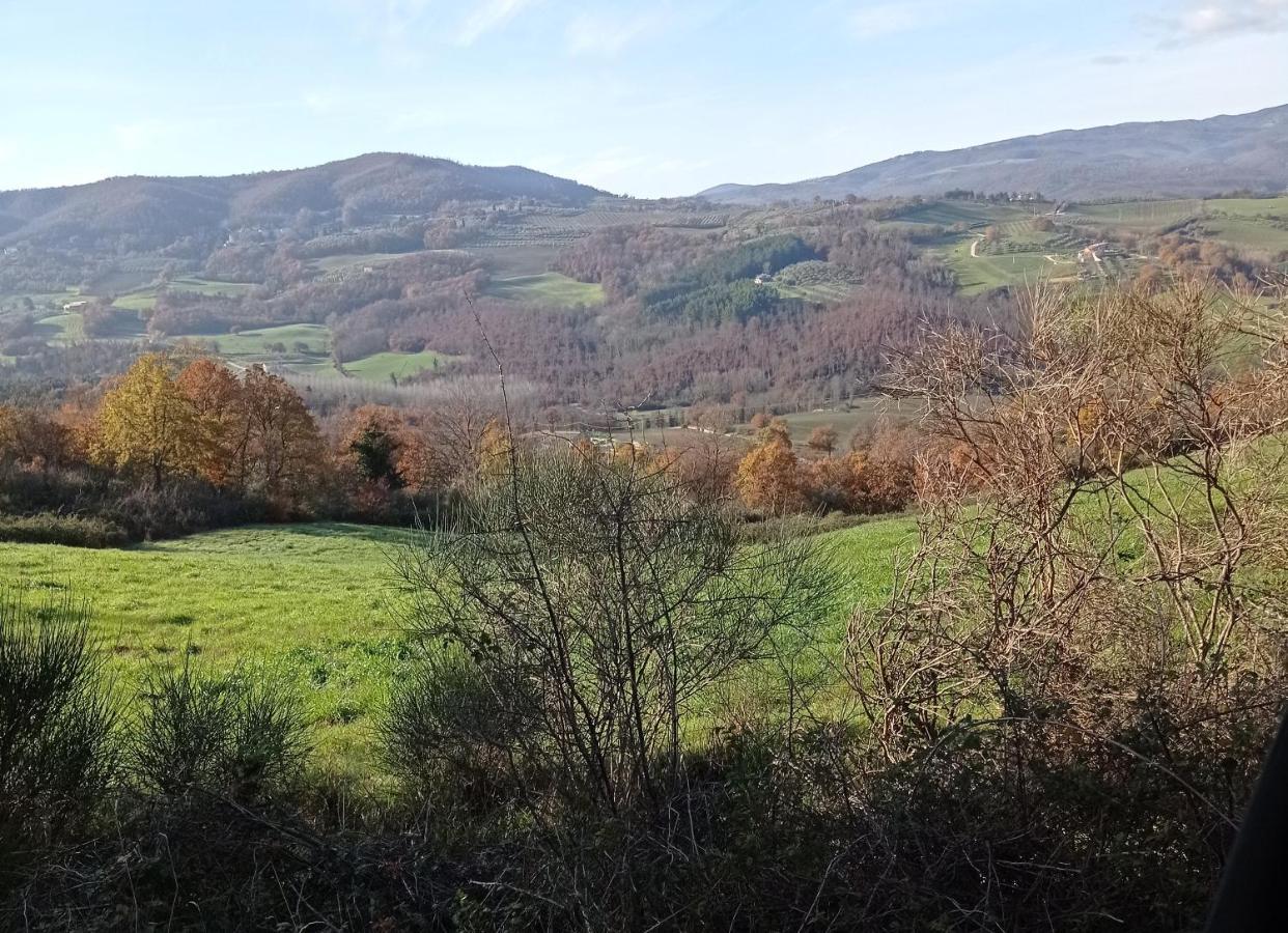 San Venanzo B&B Casale Ormano المظهر الخارجي الصورة