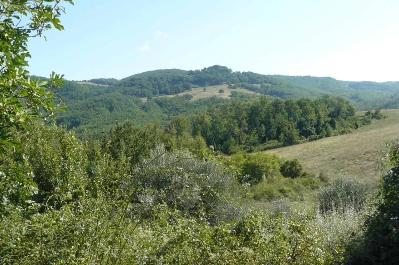 San Venanzo B&B Casale Ormano المظهر الخارجي الصورة